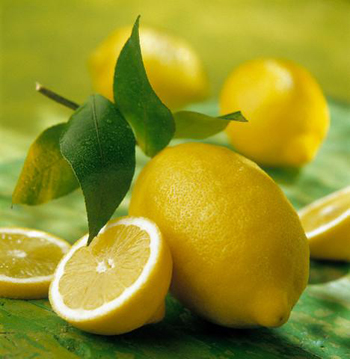 плоды и зелень лимона