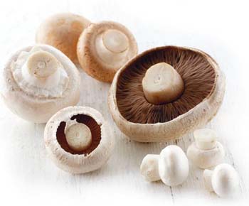 маринованные грибы