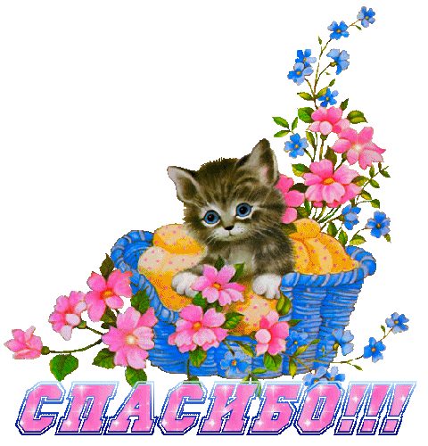 Салат с кальмарами креветками и яйцом картинки Салат с кальмарами креветками и яйцом картинки