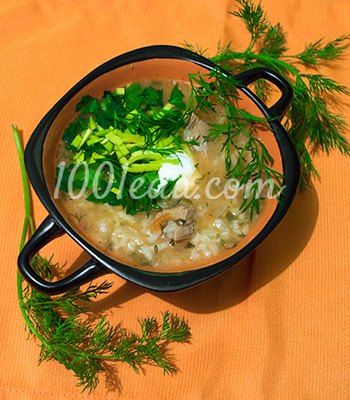Суп харчо из говядины: рецепт с пошаговым фото