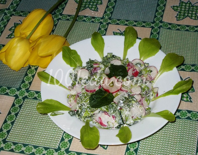 Витаминный салат Редиска с травками: рецепт с пошаговым фото