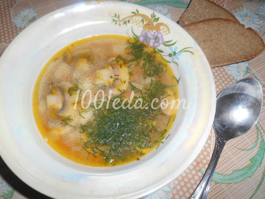 Гречневый суп с грибами: рецепт с пошаговым фото