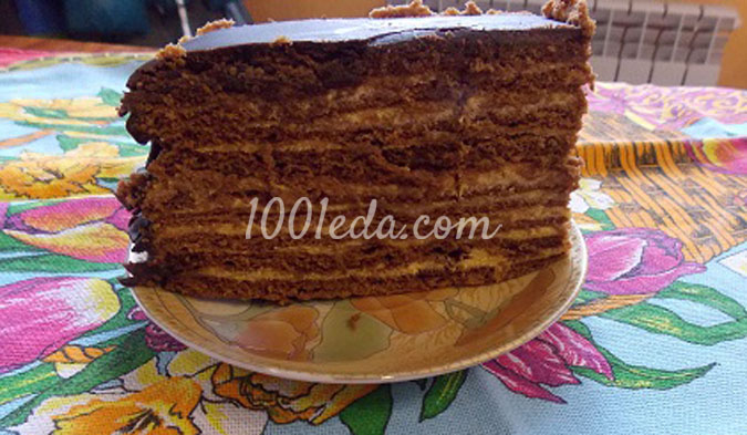 Шоколадный медовик с тыквенно-апельсиновым кремом: рецепт с пошаговым фото