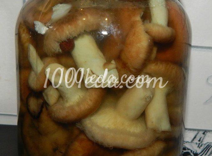 Маринованные волнушки: рецепт с пошаговым фото
