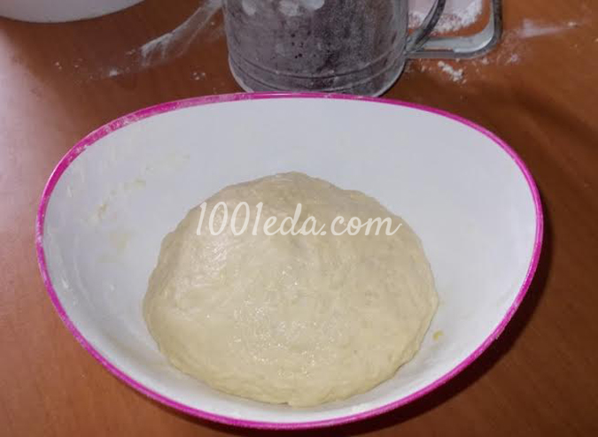 Домашние пирожки из дрожжевого теста на сыворотке: рецепт с пошаговым фото