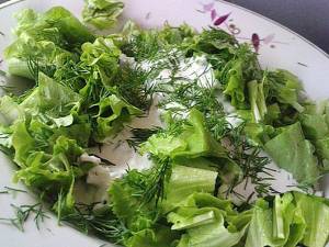 Рецепт салата из яблок, зеленого салата с фото
