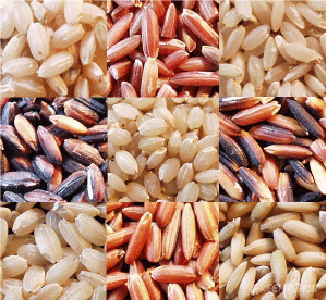 разнообразный рис