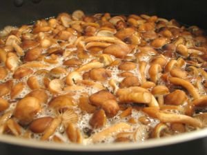 Малосольные грибы: рецепт из глубины веков.