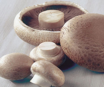 грибы в кулинарии