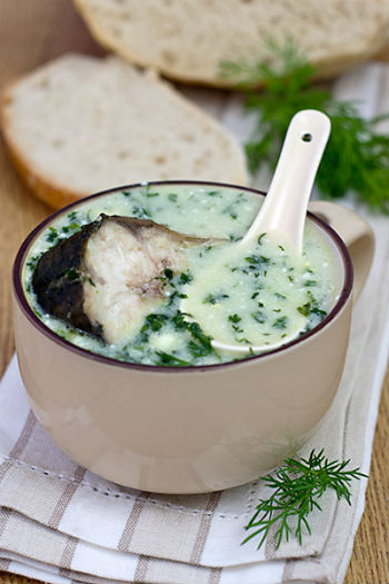 Рецепт укропного супа из кефали