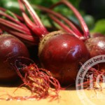 Овощное рагу в сметанном соусе