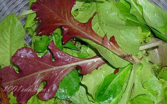 Дуболистный салат (с англ. - «Лист красного дуба», дубовый, оаклиф)