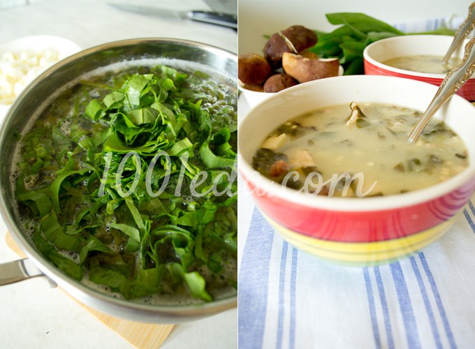 Борщ зеленый с черемшой и белыми грибами: рецепт с пошаговым фото - Шаг №9