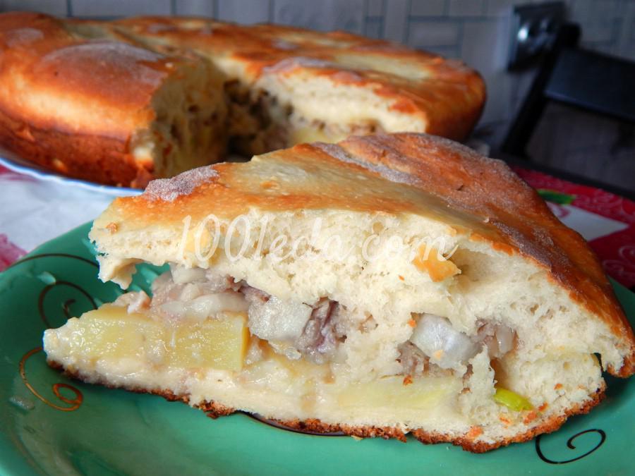 Дрожжевой пирог с мясом и картофелем: рецепт с пошаговым фото
