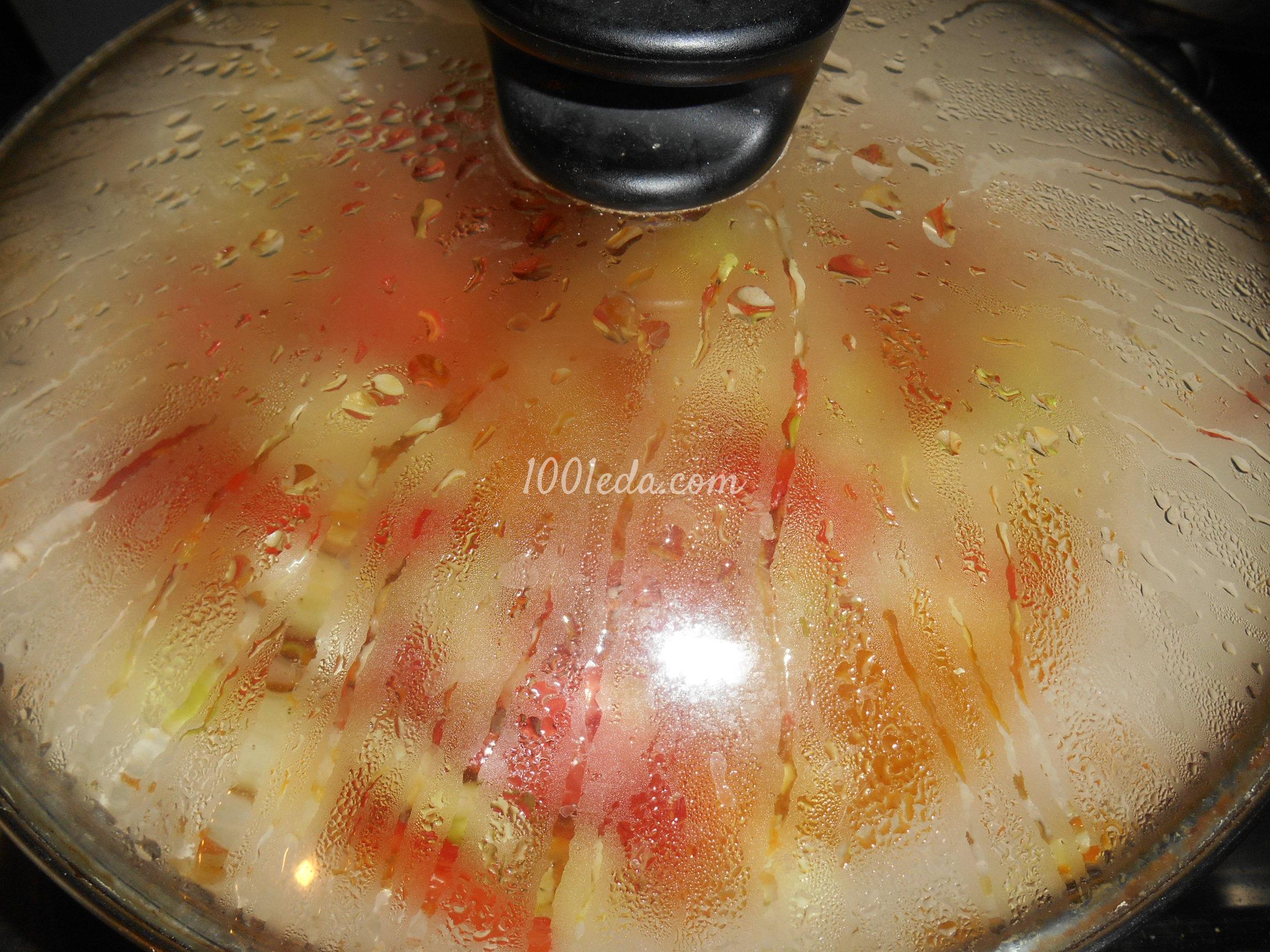 Овощное рагу с кабачками и картофелем: рецепт с пошаговым фото - Шаг №15