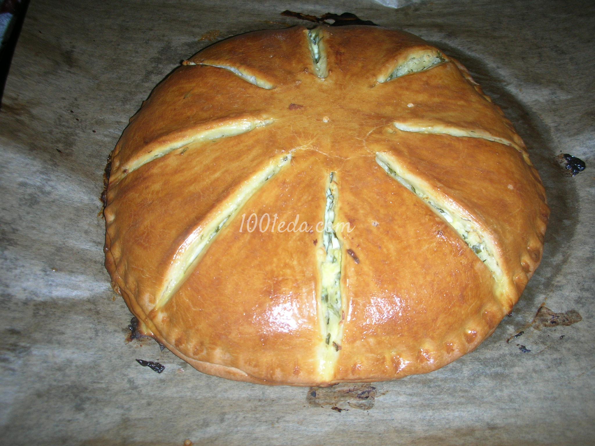 Пирог с брынзой: рецепт с пошаговым фото - Шаг №17
