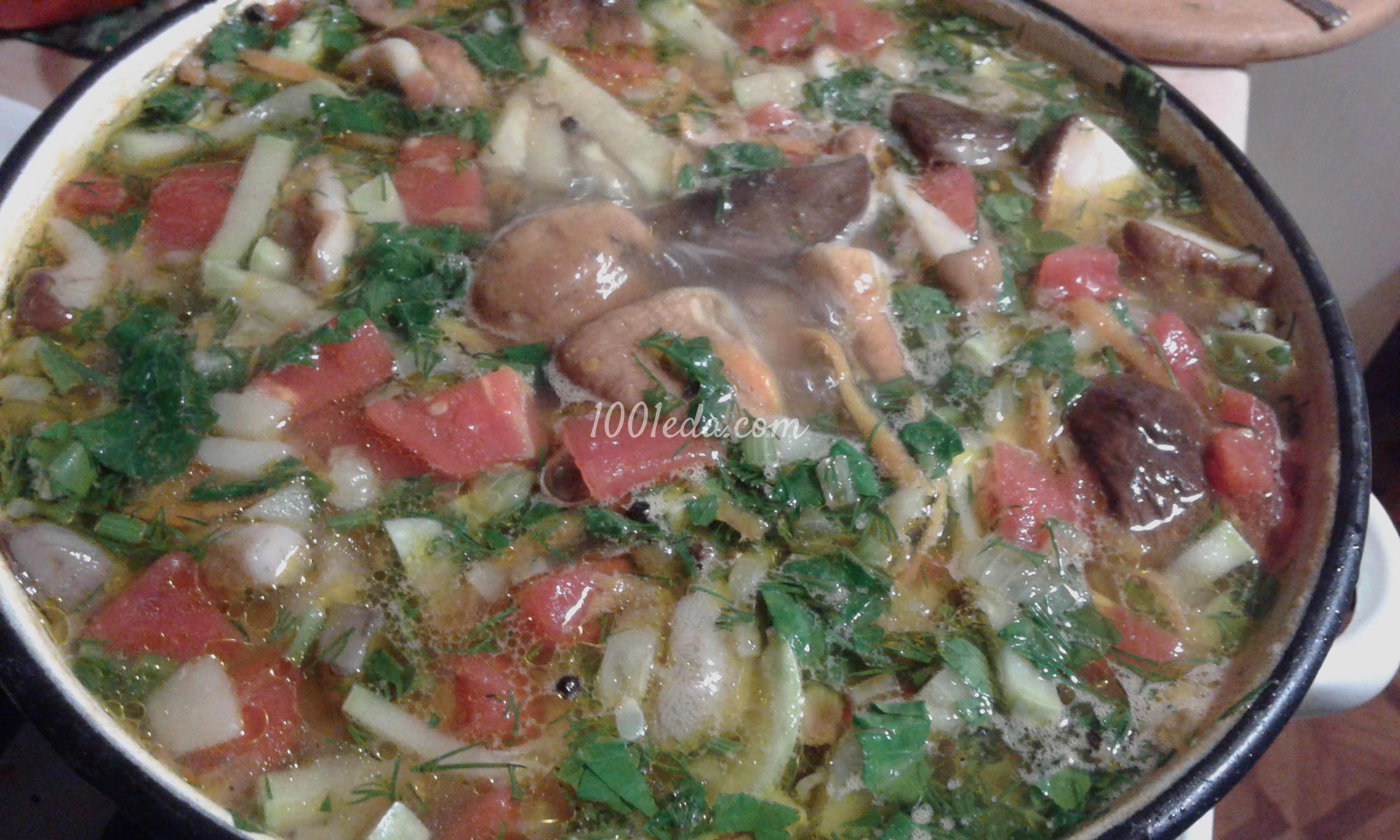 Суп овощной с грибами: рецепт с пошаговым фото - Шаг №17