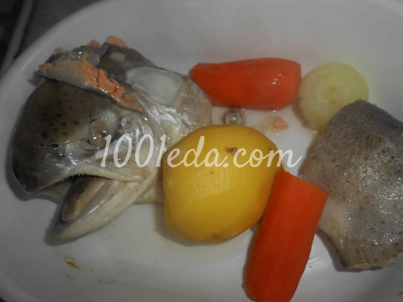 Уха из головы красной рыбы для любимых домочадцев: пошаговое фото - Шаг №3