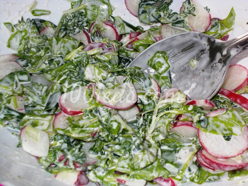 Витаминный салат Редиска с травками: рецепт с пошаговым фото - Шаг №4