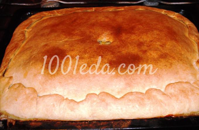 Вкусный пирог Мясо в шубке с двумя начинками: рецепт с пошаговым фото - Шаг №13