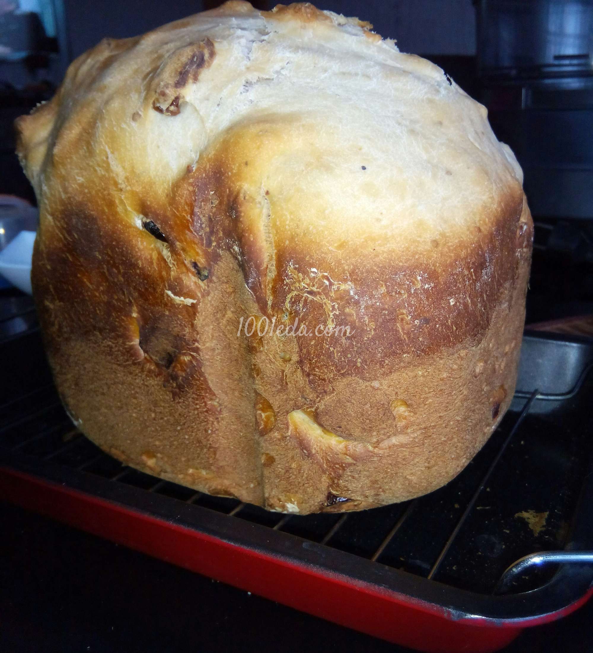 Хлеб медово - ореховый с сухофруктами: рецепт с пошаговым фото - шаг № 11