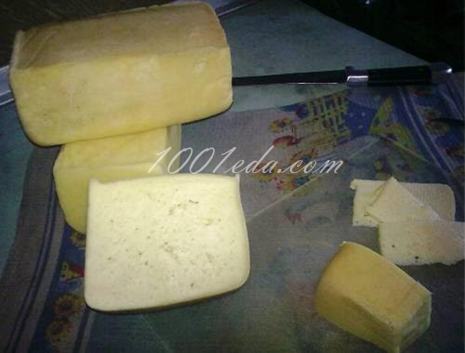 Сыр домашний Деревенский: рецепт с пошаговым фото