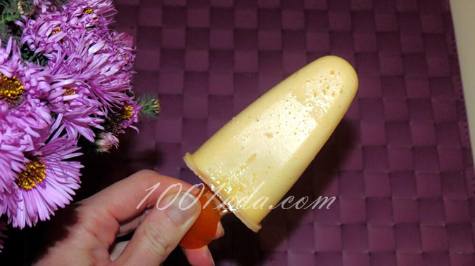 Творожное мороженое Мультипольза: рецепт с пошаговым фото