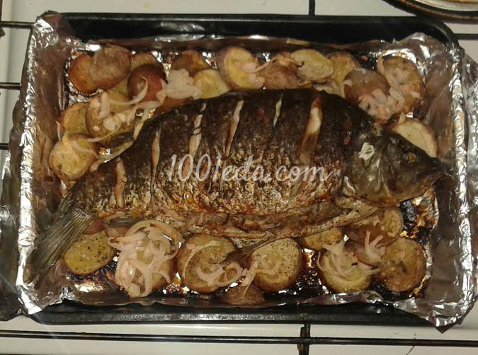 Карп на картофельной подушке: рецепт с пошаговым фото
