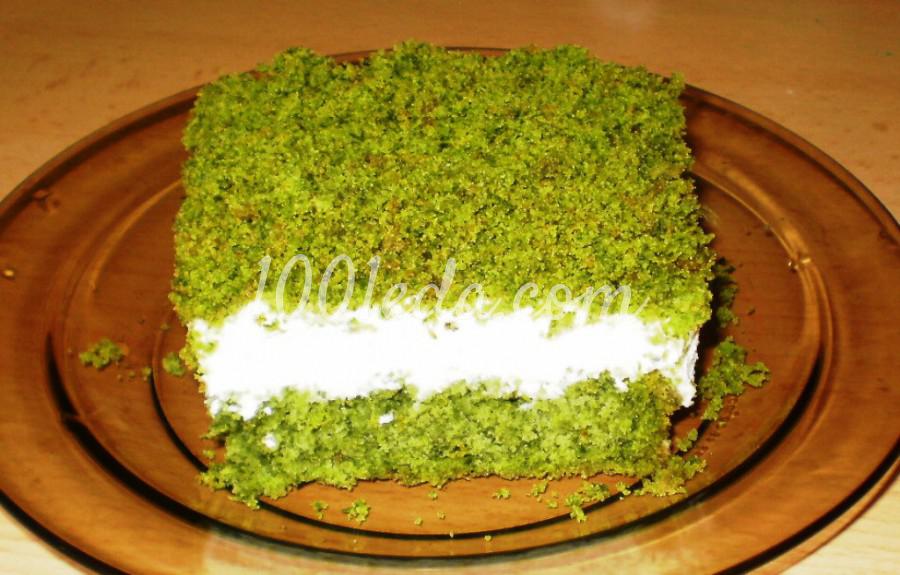 Торт "Лесной мох": пошаговый с фото