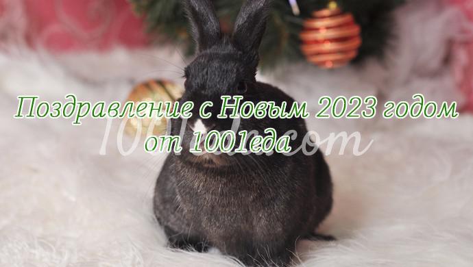 Поздравление с Новым 2023 годом Черного Водяного Кролика (Кота)